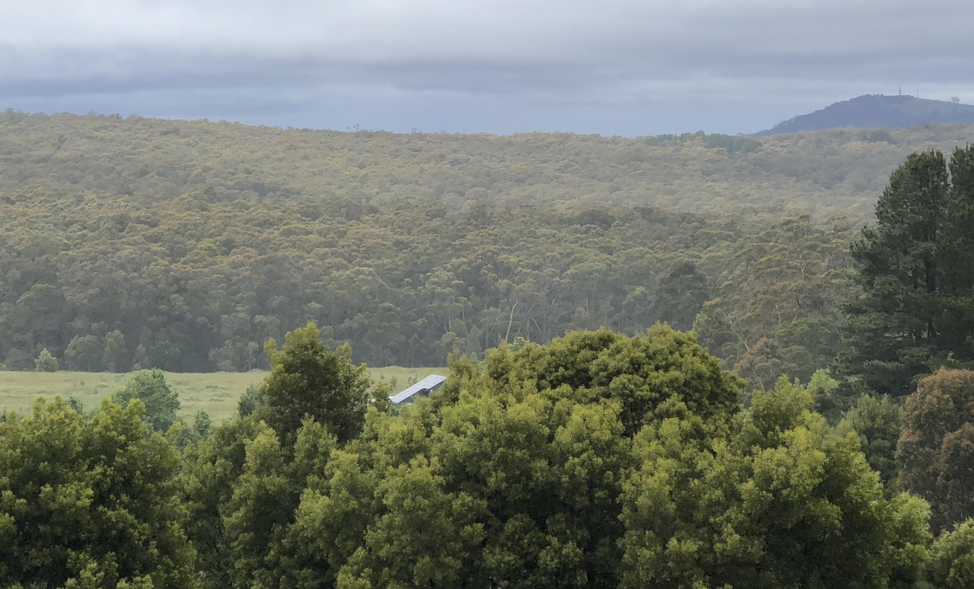 Bushfire Management Statement & BAL Ratings